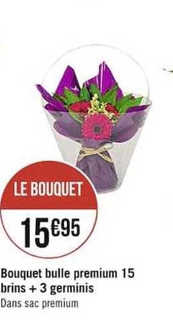 bouquet bulle premium 15 brins + 3 germinis
