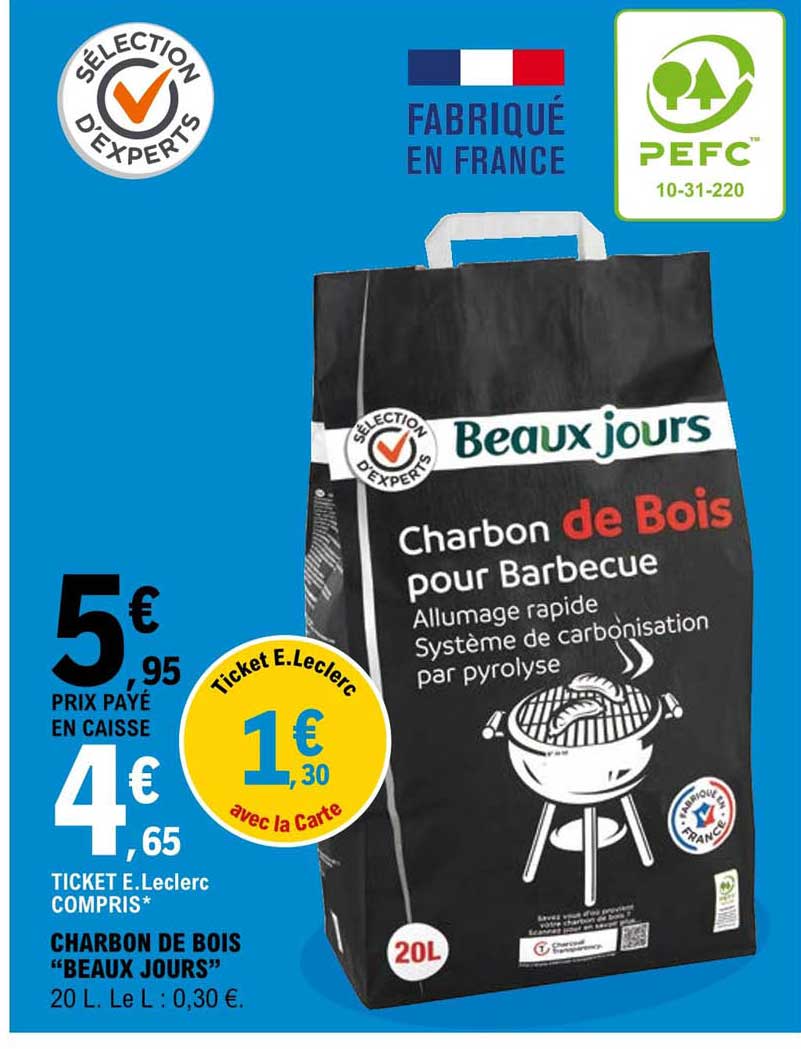 charbon de bois "beaux jours"