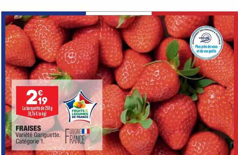 fraises gariguette
