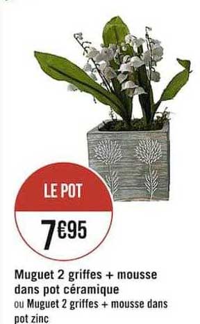 muguet 2 griffes + mousse dans pot céramique
