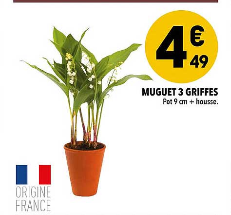 muguet 3 griffes
