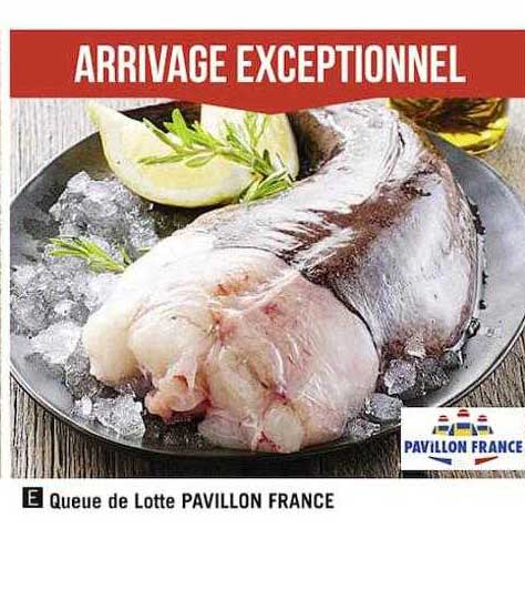 queue de lotte pavillon france