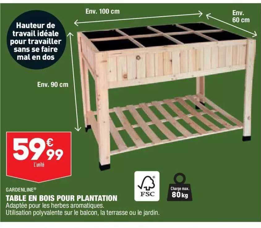 Table En Bois Pour Plantation Gardenline