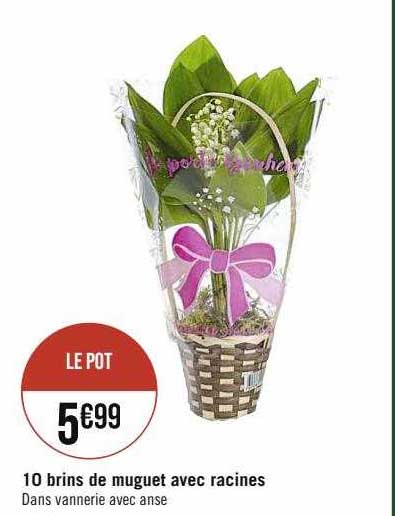 10 brins de muguet avec racines