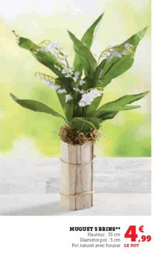 muguet 5 brins