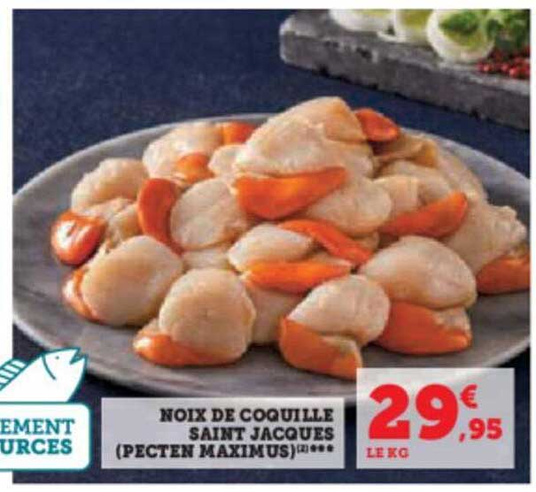 noix de coquille saint jacques (pecten maximus)