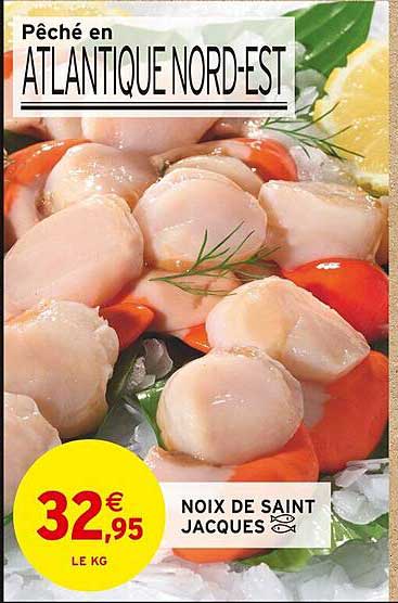 noix de saint jacques