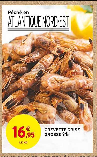crevette grise grosse