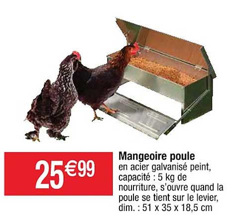 Mangeoire Poule