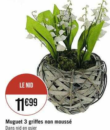 muguet 3 griffes non moussé