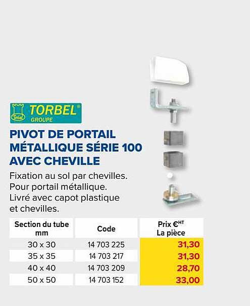 pivot de portail métallique série 100 avec cheville