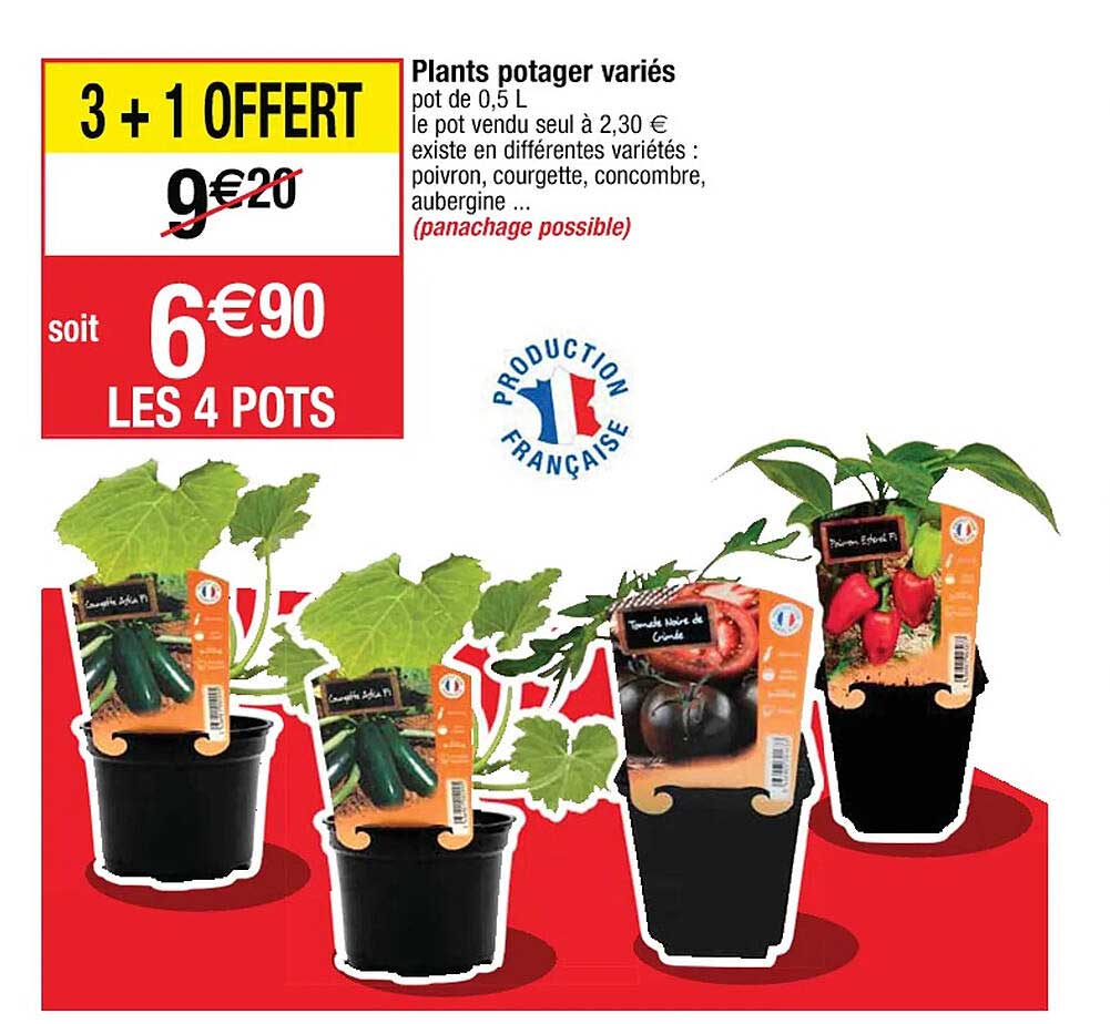 plants potager variés 3+1 offert