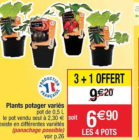 plants potager variés 3+1 offert
