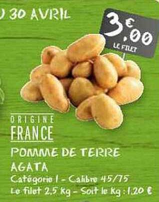 Pomme De Terre Agata