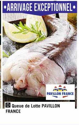 Queue De Lotte Pavillon France