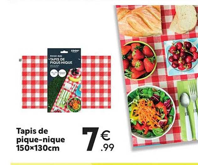 tapis de pique-nique 150 x 130 cm
