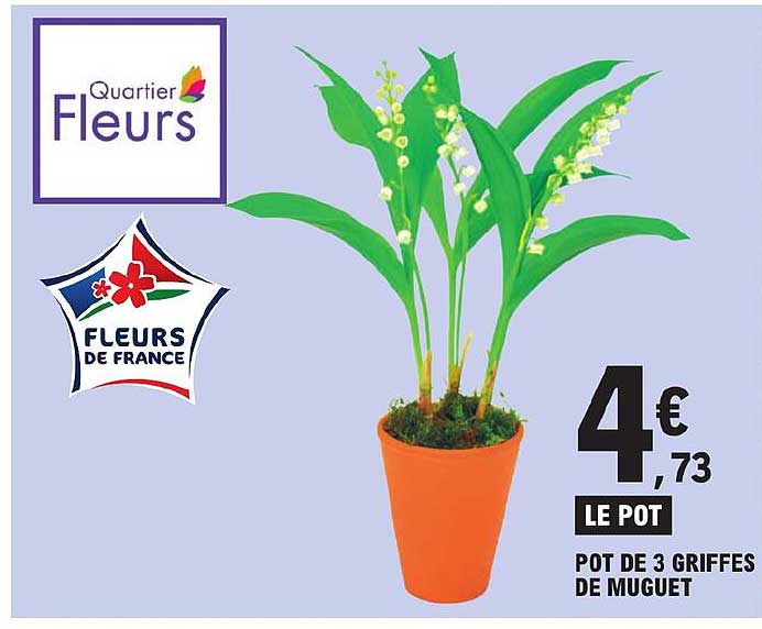 pot de 3 griffes de muguet