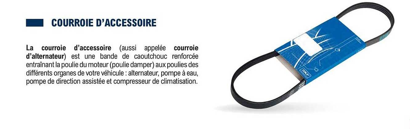 courroie d'accessoire