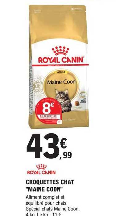 croquettes chat "maine coon" royal canin
