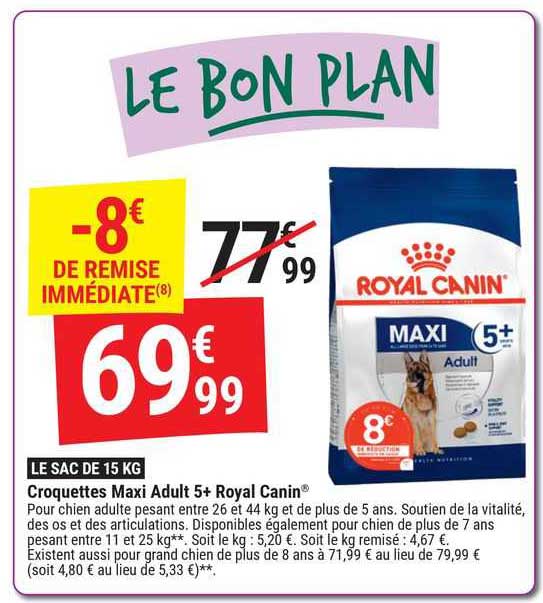 croquettes maxi adult 5+ royal canin