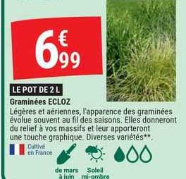 graminées ecloz