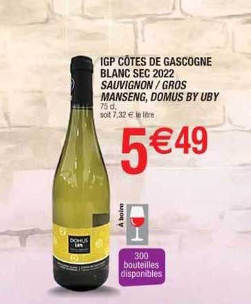 IGP côtes de gascogne blanc sec 2022 sauvignon / gros manseng, domus by uby