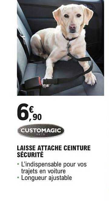 laisse attache ceinture sécurité customagic
