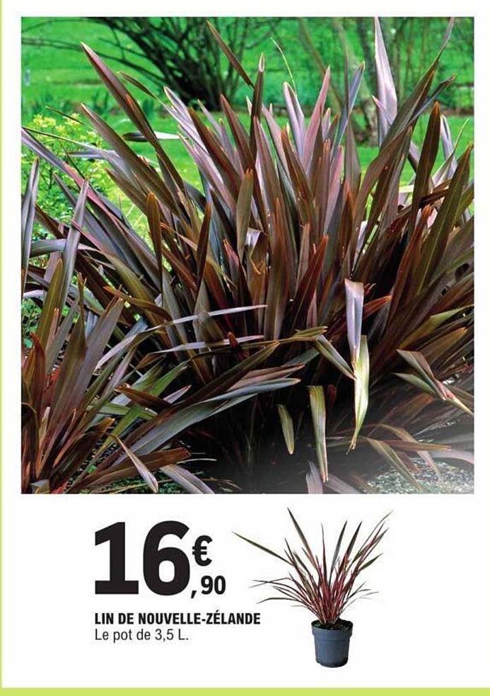 lin de nouvelle-zélande