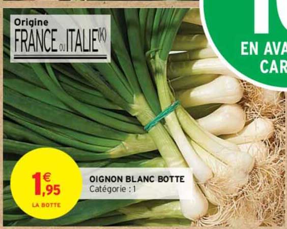 Oignon Blanc Botte