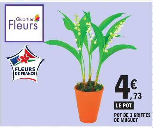 pot de 3 griffes de muguet