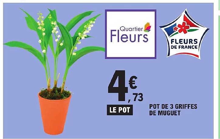 pot de 3 griffes de muguet