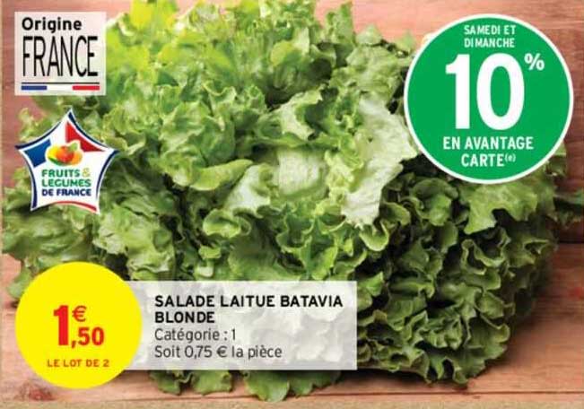 Salade Laitue Batavia Blonde