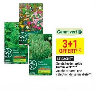 semis levée rapide gamm vert