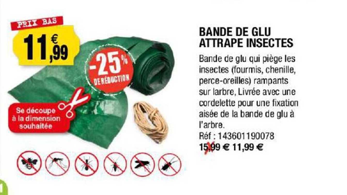 bande de glu attrape insectes
