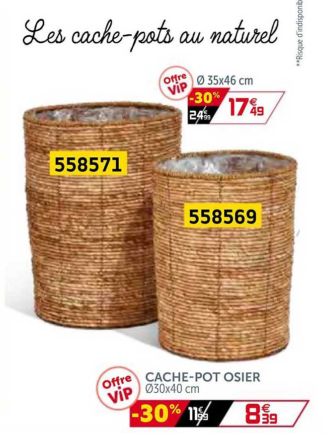 cache-pot osier