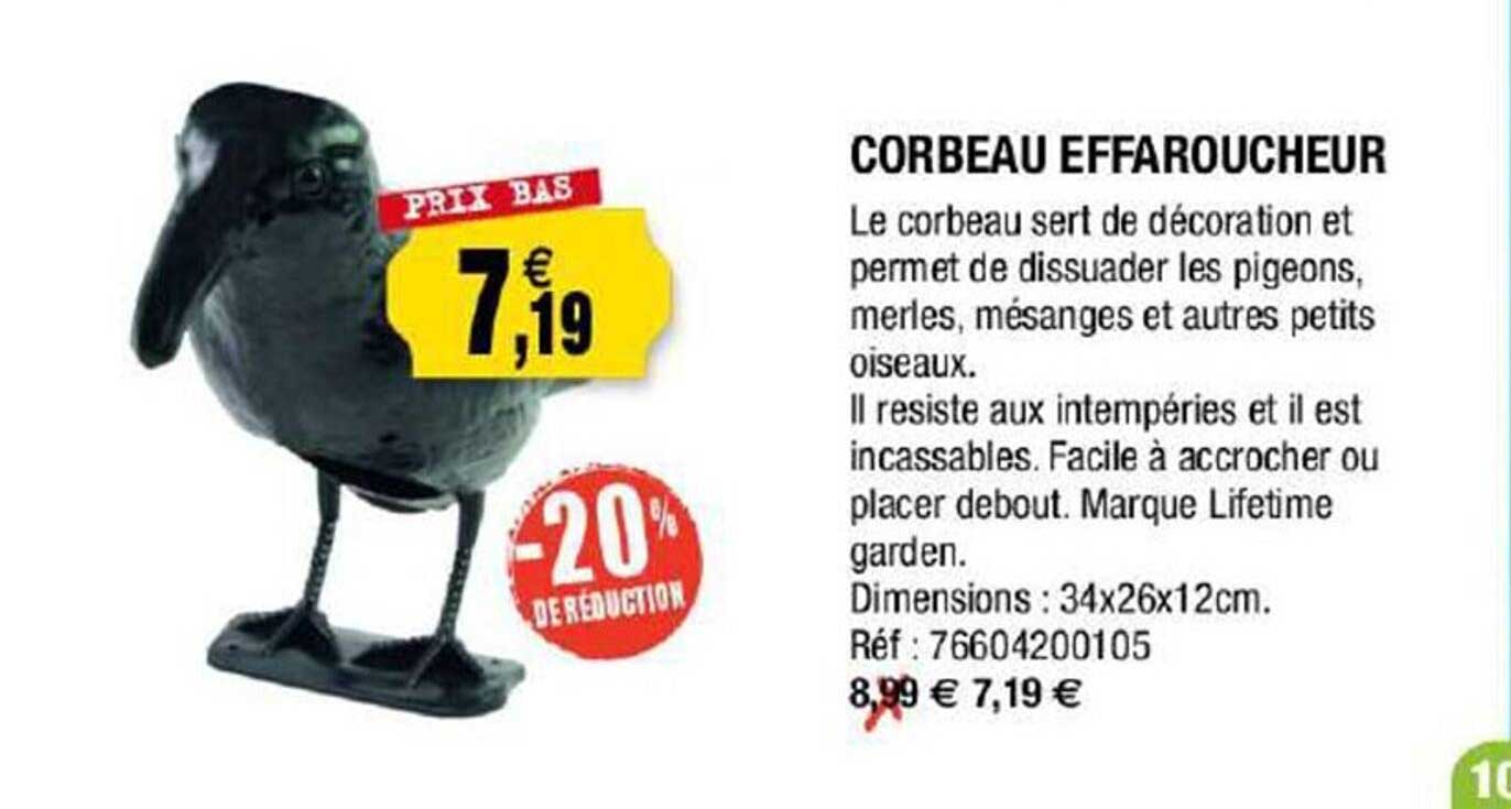 corbeau effaroucheur