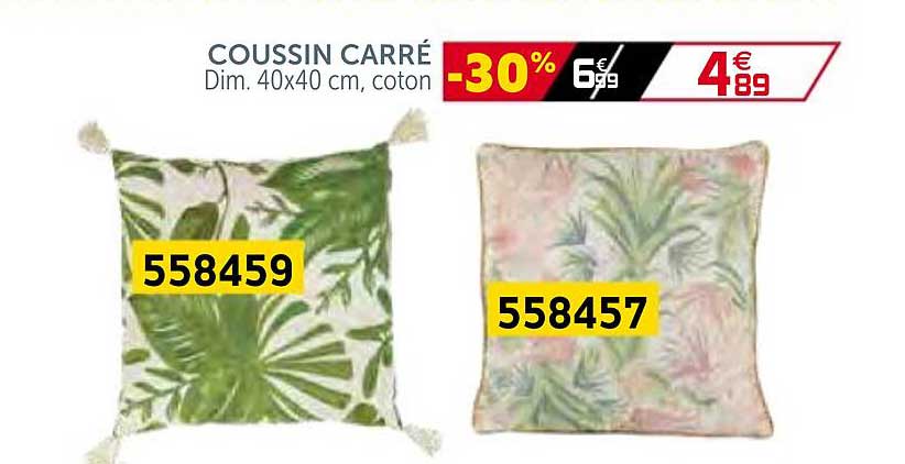 Coussin Carré