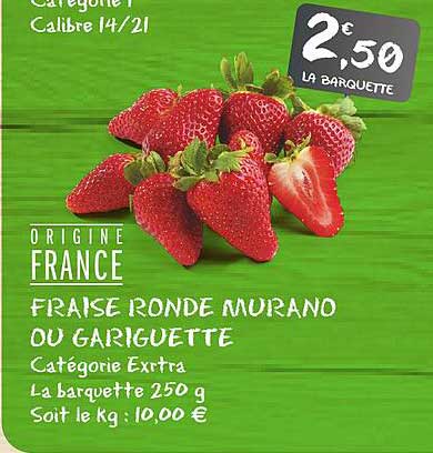 fraise ronde murano ou gariguette