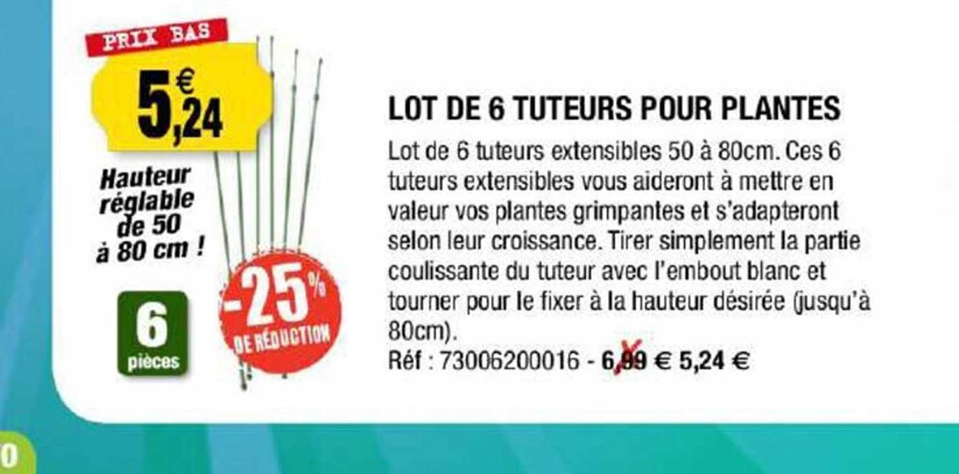 Lot De 6 Tuteurs Pour Plantes