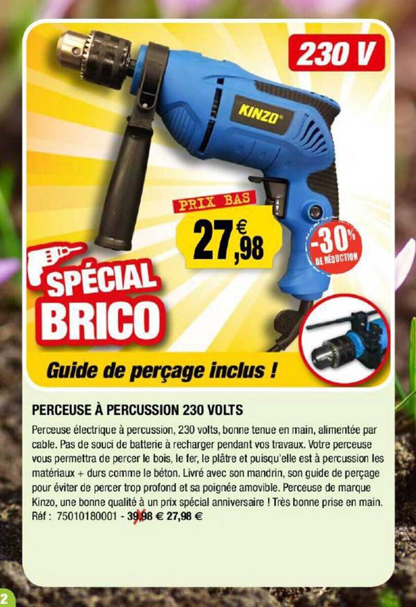 perceuse à percussion 230 volts