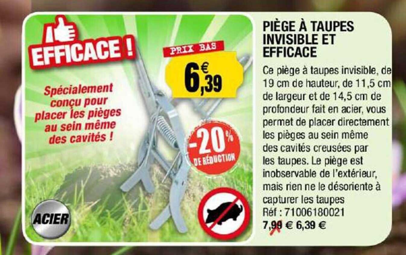 piège à taupes invisible et efficace