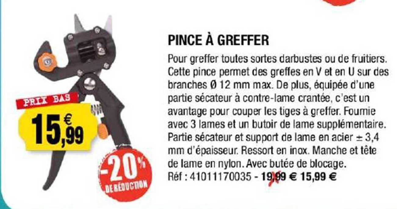 Pince à Greffer