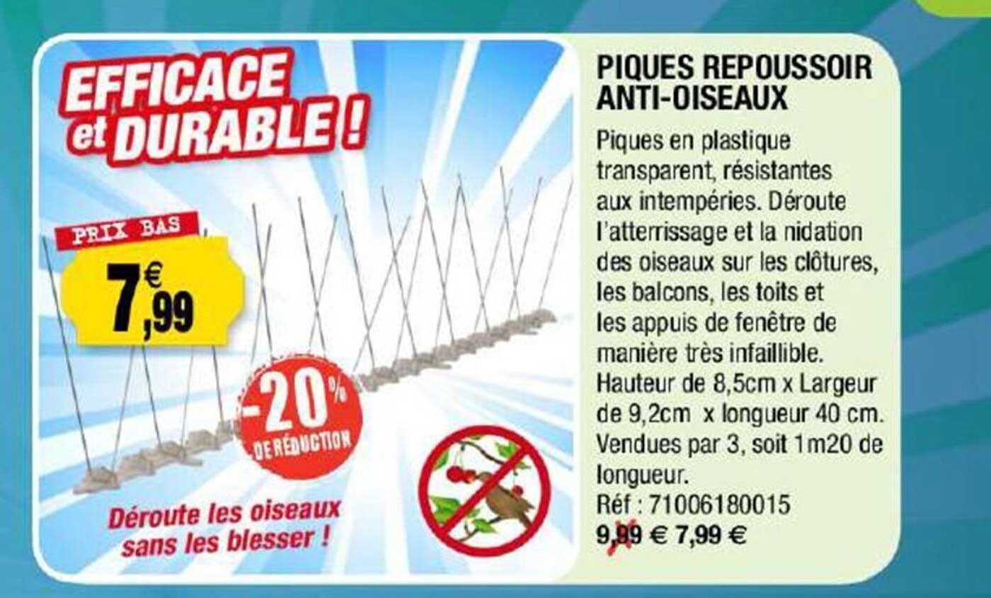 piques repoussoir anti-oiseaux