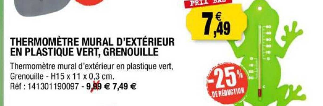 thermomètre mural d'extérieur en plastique vert, grenouille