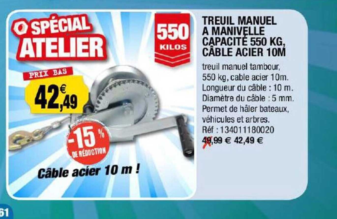 treuil manuel à manivelle capacité 550 kg, câble acier 10 m