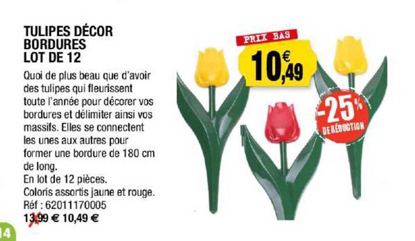 tulipes décor bordures lot de 12