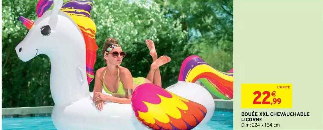 bouée xxl chevauchable licorne
