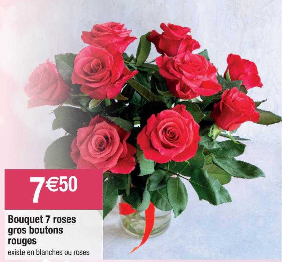 Bouquet 7 Roses Gros Boutons Rouges