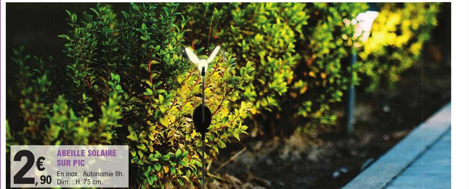 abeille solaire sur pic