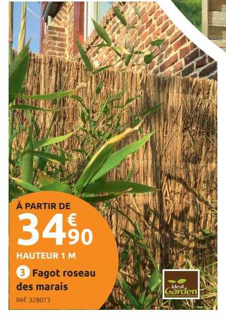fagot roseau des marais